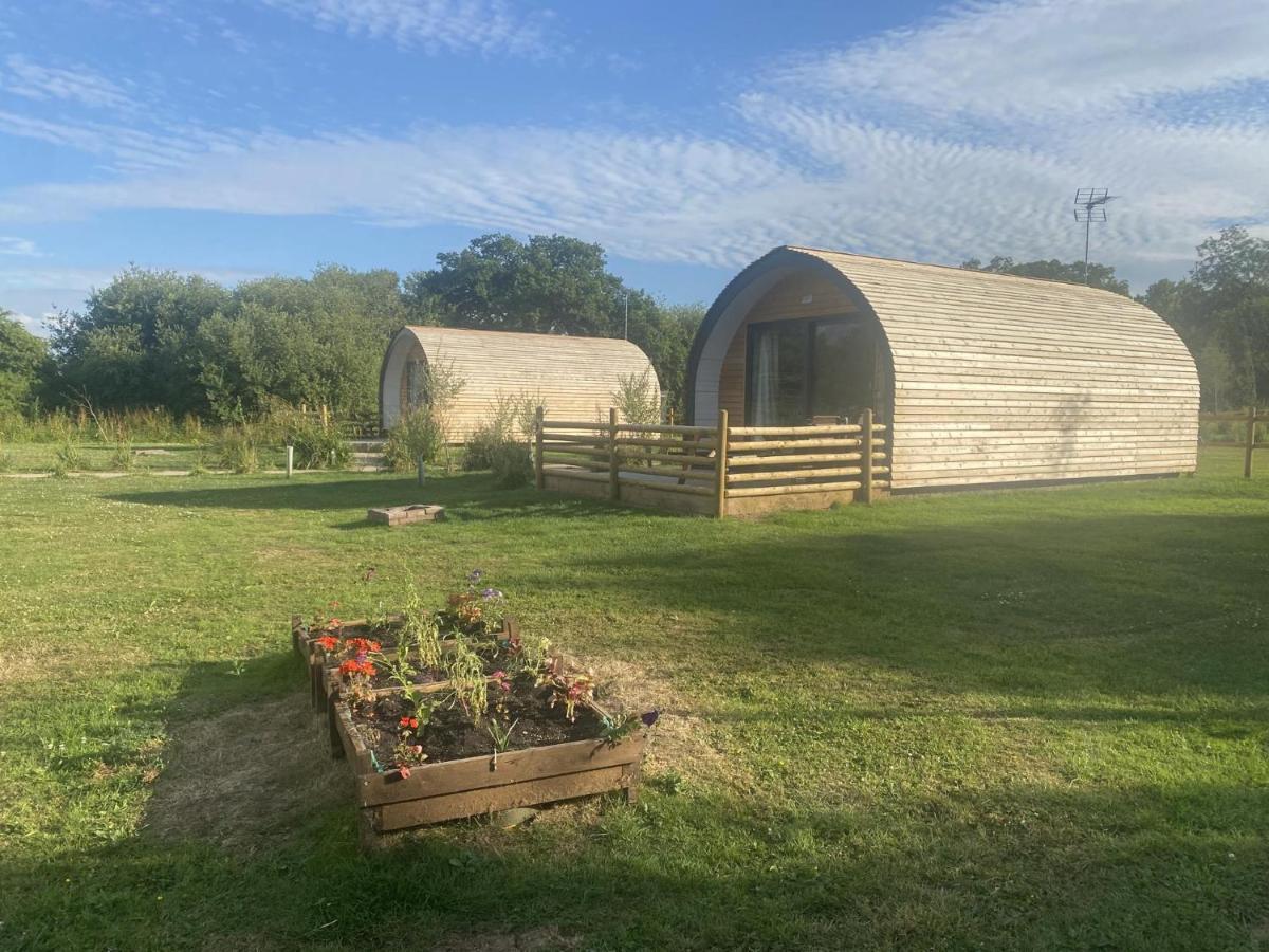 1-Bed Pod Cabin In Beautiful Surroundings Ρέξαμ Εξωτερικό φωτογραφία