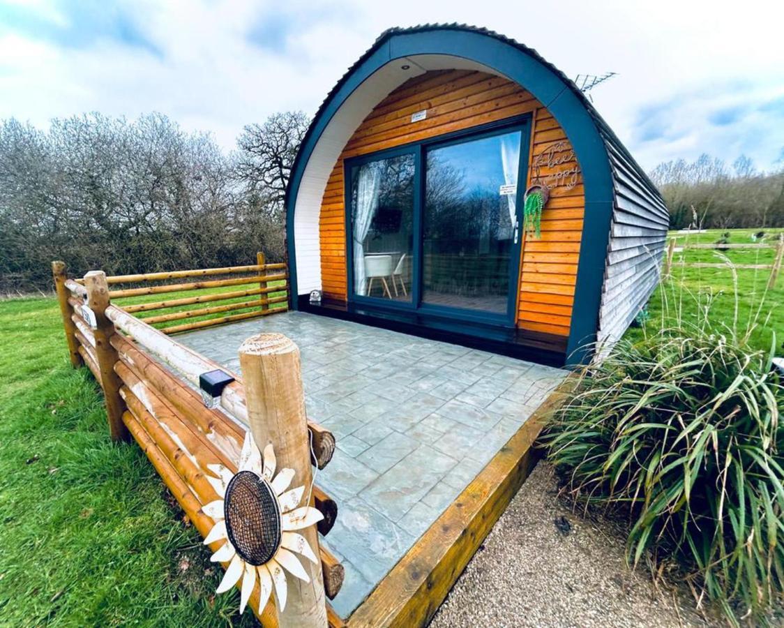 1-Bed Pod Cabin In Beautiful Surroundings Ρέξαμ Εξωτερικό φωτογραφία